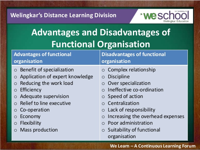 functional organizational structure advantages and disadvantages